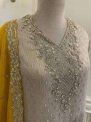 Noor-e-Zarina Tissue Silk Sharara Set ✨