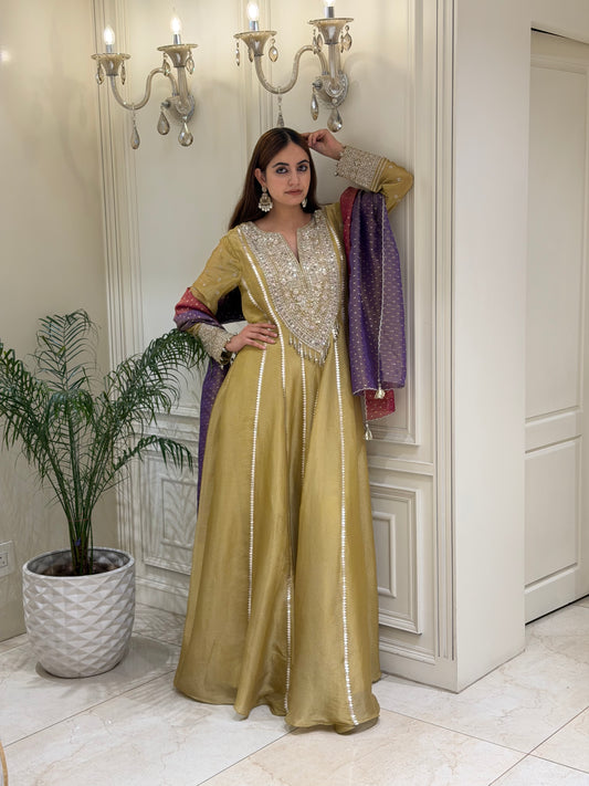 Noor-e-Zareen Tissue Anarkali