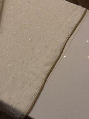 Champagne Beige Tissue Silk Suit Set