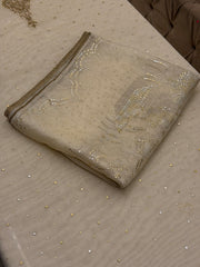 Champagne Beige Tissue Silk Suit Set