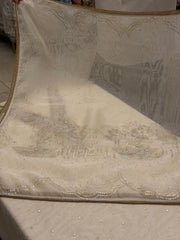 Champagne Beige Tissue Silk Suit Set