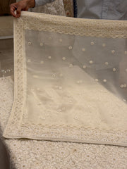 Ivory Luxury Chikankari Handwork Suit Set