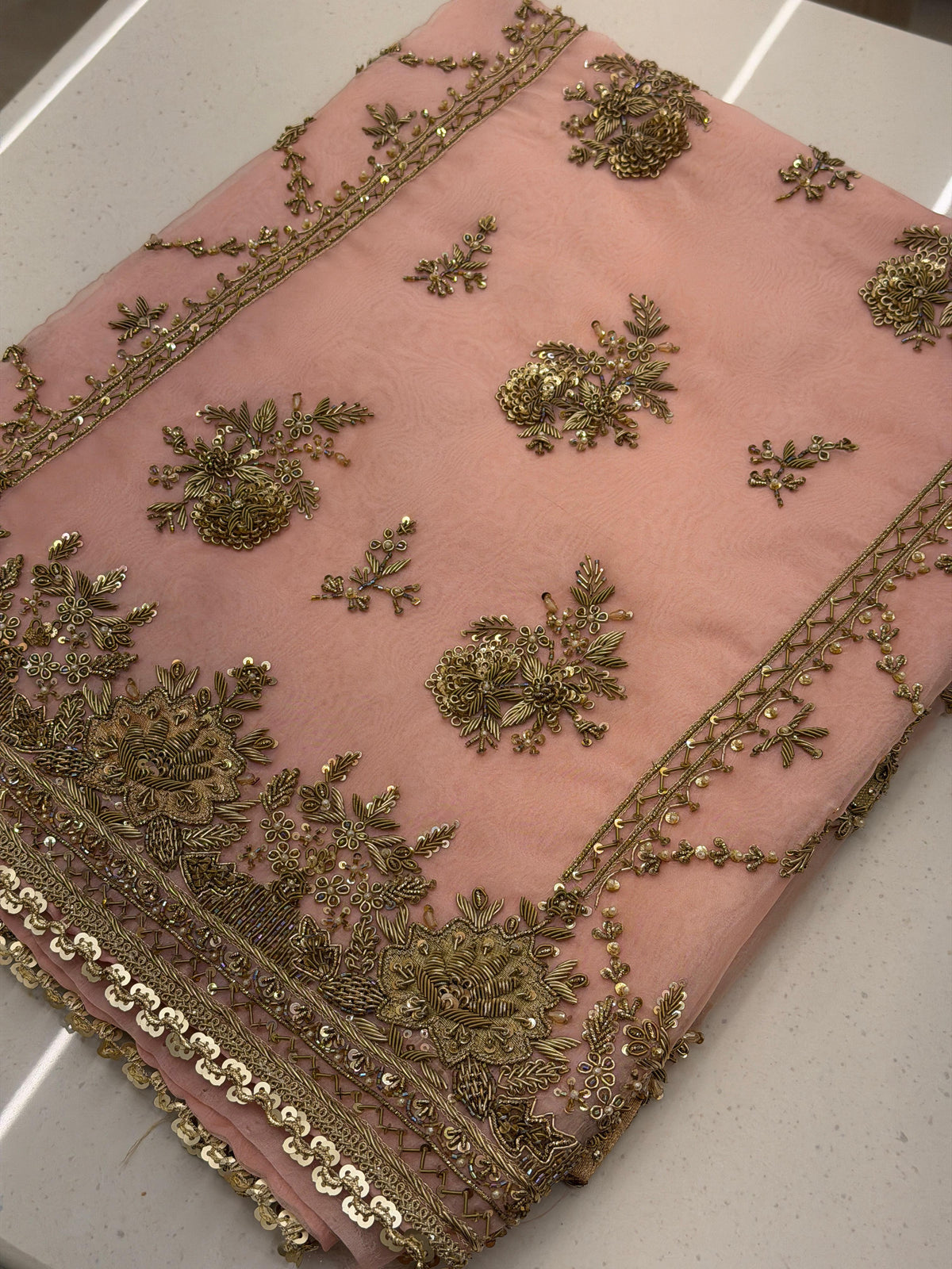 Champagne Garden – Pure Organza Embroidered Suit